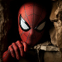 Spider85