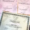 Szakszerű masszázs 4 Okleveles masszőr vagyok ! 3. kép Szomszéd lány  erotikus masszázs XIII. kerület Budapest Szabin van