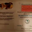  3. kép MARTINA  erotikus masszázs XIV. kerület Budapest 205974347